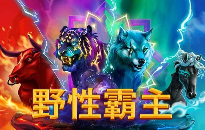澳门彩正规网站